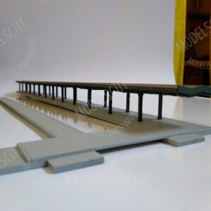 Anden cubierto-SNCF-RENFE